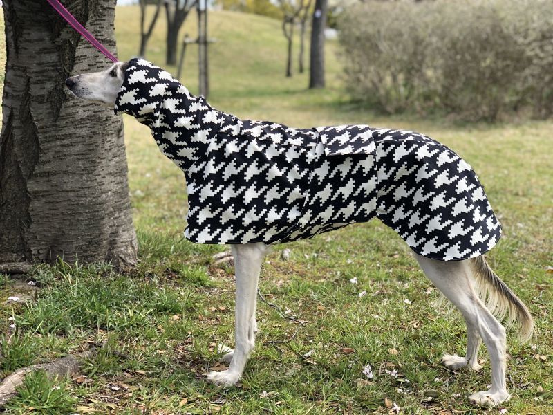 Basicレインコートhoundstooth サルーキ ボルゾイサイズ Royal Hound Designs