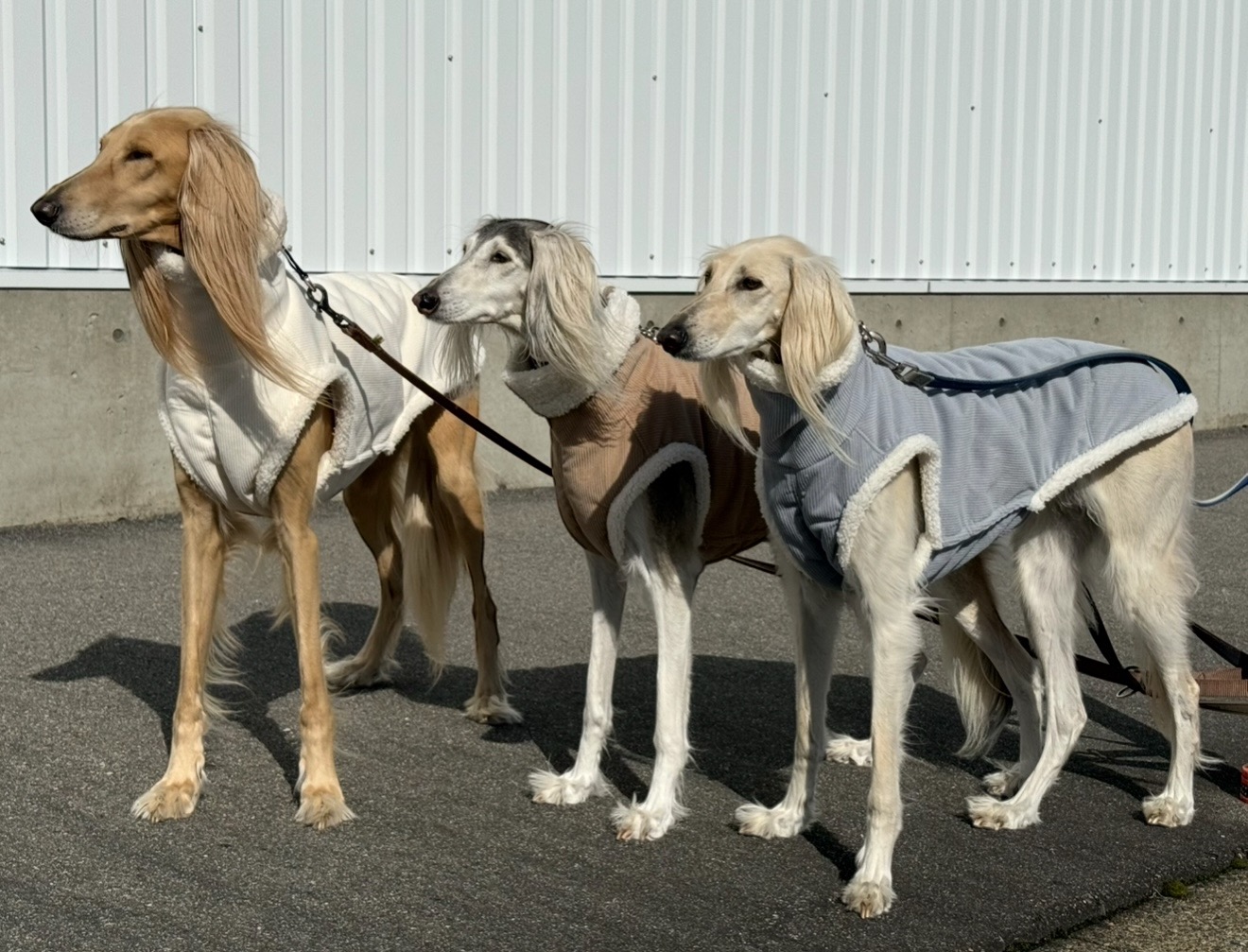 コーデュロイ×裏ボアサイドオープンベスト（全３色）