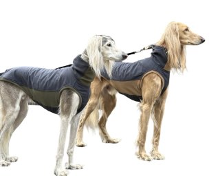 F1285【Afghan Hound】アフガンハウンド ブラックカルセドニー